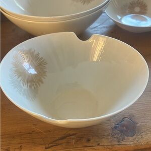 Rosenthal Starburst China set